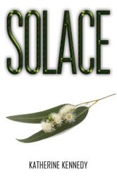 Solace (ISBN: 9781035851492)