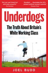 Underdogs (ISBN: 9781035015160)