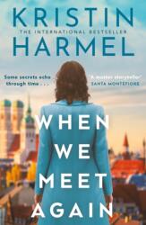 When We Meet Again (ISBN: 9781035426331)