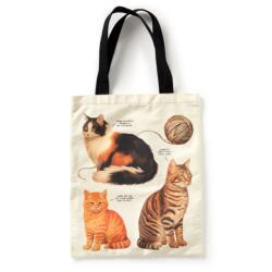 Moody Cats Canvas Tote (ISBN: 9780735384361)