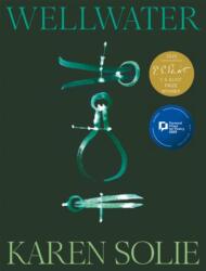 Wellwater (ISBN: 9781035048182)