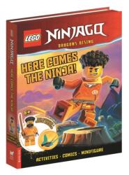 LEGO (ISBN: 9781837250370)