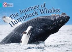 The Journey of Humpback Whales (ISBN: 9780007461820)