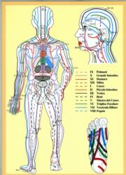 Masunaga Zen Shiatsu Ketsu -- A4 (ISBN: 9789079887422)