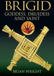 Brigid (ISBN: 9780752448657)