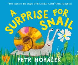 A Surprise for Snail (ISBN: 9781529531831)
