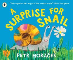 A Surprise for Snail (ISBN: 9781529525502)