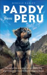 Paddy from Peru (ISBN: 9780008814786)