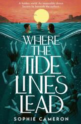 Where the Tide Lines Lead (ISBN: 9781788958080)