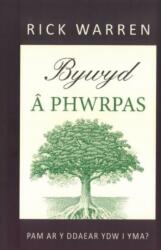 Bywyd a Phwrpas (ISBN: 9781422806487)