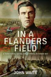 In A Flanders Field (ISBN: 9781399037242)