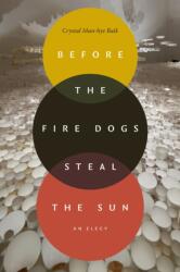 Before the Fire Dogs Steal the Sun (ISBN: 9781478033769)