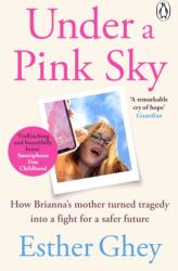 Under a Pink Sky (ISBN: 9781405974271)