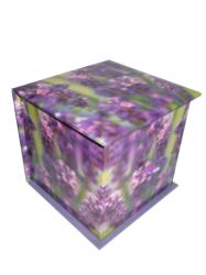 Memo Block: Lavender (ISBN: 9780754820390)