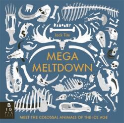 Mega Meltdown (ISBN: 9781800788022)