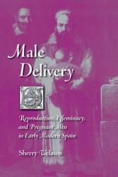 Male Delivery (ISBN: 9780826515155)