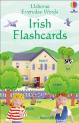 Everyday Words in Irish Flashcards (ISBN: 9780746067932)