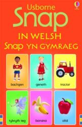 Snap in Welsh (ISBN: 9780746063385)