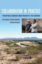Collaboration in Practice (ISBN: 9780816556359)
