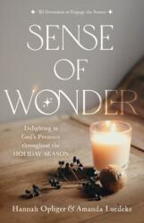 Sense of Wonder (ISBN: 9781640703391)