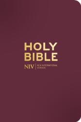 NIV Pocket Mulberry Bible with Gold Zip (ISBN: 9781399832830)