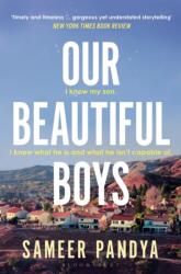 Our Beautiful Boys (ISBN: 9781526676979)