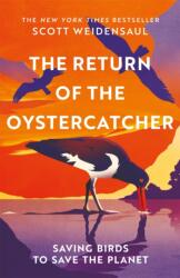 The Return of the Oystercatcher (ISBN: 9781035016518)