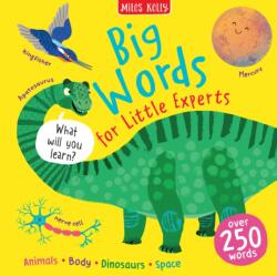 Big Words (ISBN: 9781789899382)