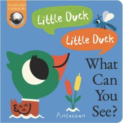 Little Duck! Little Duck! What Can You See? (ISBN: 9781838917975)