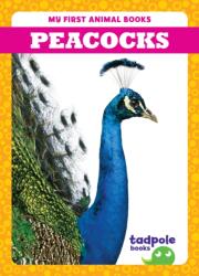 Peacocks (ISBN: 9798889965800)