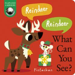 Reindeer! Reindeer! What Can You See? (ISBN: 9781838918323)