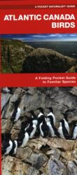Atlantic Canada Birds (ISBN: 9781620053515)