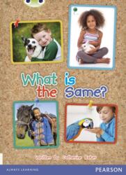 Bug Club NF Red B (KS1) What is the Same? (ISBN: 9780435168018)