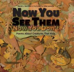 Now You See Them, Now You Don't (ISBN: 9781580896115)