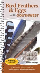 Bird Feathers & Eggs of the Southwest (ISBN: 9781647556679)