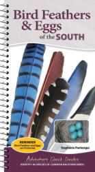 Bird Feathers & Eggs of the South (ISBN: 9781647556662)