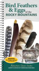 Bird Feathers & Eggs of the Rocky Mountains (ISBN: 9781647556655)