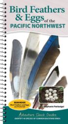 Bird Feathers & Eggs of the Pacific Northwest (ISBN: 9781647556648)