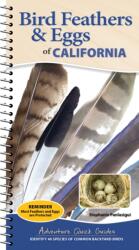 Bird Feathers & Eggs of California (ISBN: 9781647556631)
