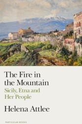 The Fire in the Mountain (ISBN: 9780241514399)