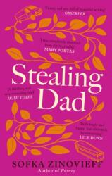 Stealing Dad (ISBN: 9781472159762)