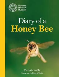 Diary of a Honey Bee (ISBN: 9780565095857)