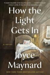 How the Light Gets in (ISBN: 9780062398314)