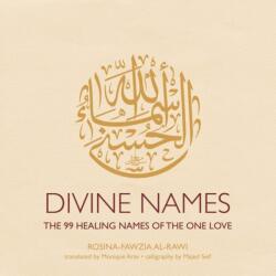 Divine Names (ISBN: 9781623718138)