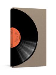 A Record of My Vinyl (ISBN: 9780804189606)