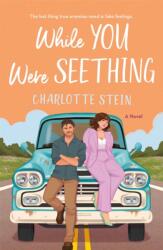 While You Were Seething (ISBN: 9781035038190)