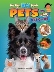 My First BIG Book of PETS and PETCARE (ISBN: 9781788566438)