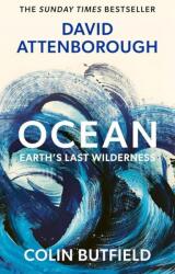 Ocean (ISBN: 9781399832618)
