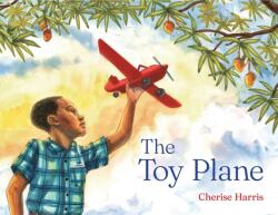 The Toy Plane (ISBN: 9781665960564)