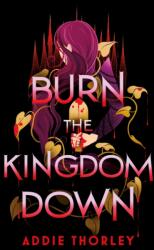 Burn the Kingdom Down (ISBN: 9781464275463)